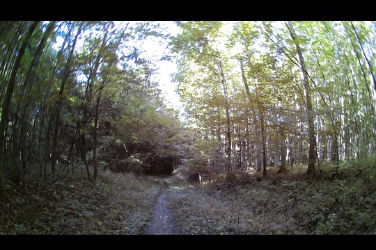 Panasonic HX-A1 Vergleichsfoto, Schatten und Sonneinstrahlung im Wald beim Biken
